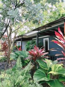 ホアヒンにあるBaan Mae Num HuaHin 102 บ้านแม่นุ่มの植物がたくさん立ち並ぶ家