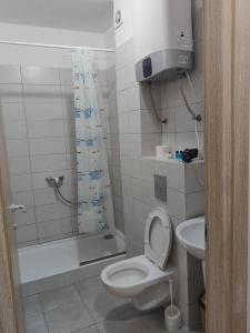 a bathroom with a toilet and a shower and a sink at Desilva Residences - Loft Club in Mamaia +17 photos