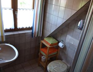a small bathroom with a sink and a toilet at Haus Fiegle in Kressbronn am Bodensee +14 photos