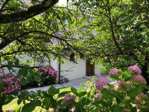 a garden with pink flowers in front of a building at Spa&Golf-Suite Velden in Velden am Wörthersee +8 photos