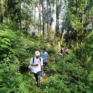 Hosté ubytování Gangtok View Camping + 21 fotografií