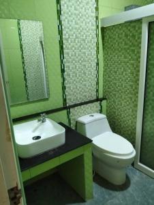 a green bathroom with a toilet and a sink at บ้านสวนสบายใจโฮมสเตย์ ใกล้มหาวิทยาลัยแม่ฟ้าหลวง ห่างเมือง 20 กม ห่างถนน 2 กม in Ban Huai Pa Phlu