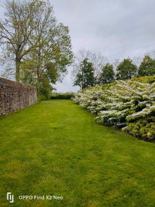 a garden with white flowers in the grass at Domaine du Manoir de Vains in Vains
