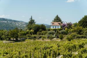 Природа в окрестностях фермерского дома +6 фотографий