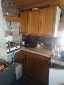 Dapur atau dapur kecil di Wilderness Cabin on a Private Island