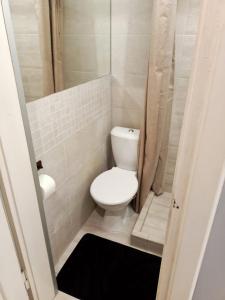 a small bathroom with a toilet and a shower at Brick Lane Apartment in Gdańsk