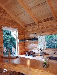 Chalet el Pinar的厨房或小厨房