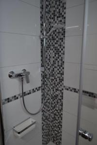 ein Bad mit einer Dusche und einer Glastür in der Unterkunft Loft Apartment Horrem in Kerpen