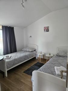 - une chambre avec 2 lits et 2 tables dans l'établissement Apartman Jim, à Vir