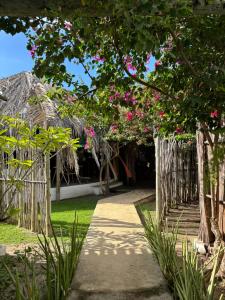 a pathway leading to a building with pink flowers at Pousada Casa Branca in Pôrto de Pedras +16 photos