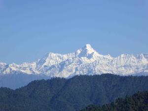Photo de la galerie de l'établissement Joshi Cottage Binsar, à Almora