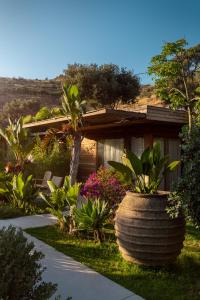 a garden with a large planter in front of a house at XUMA Bungalows in Bodrum City