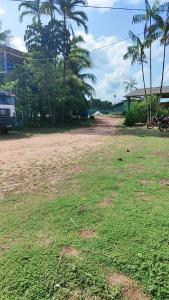 ein Grasfeld mit einer unbefestigten Straße und Palmen in der Unterkunft Casa de campo GN in Acará