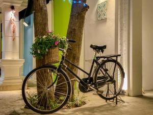 Jízda na kole v ubytování Muni Residence & Spa nebo okolí