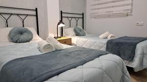 ein Schlafzimmer mit 2 Betten mit Kissen darauf in der Unterkunft Apartamentos Maria Cristina con parking gratis in Córdoba