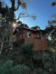 a wooden cabin in the woods with a tree at Cabana Alpen Ville Rural com Banheira in Bom Jardim da Serra