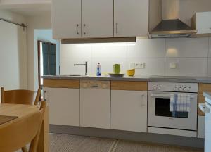 Kuchyň nebo kuchyňský kout v ubytování Ferienwohnung Pusteblume