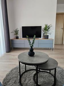a living room with a table and a tv at Vilniaus apartamentai in Vilnius
