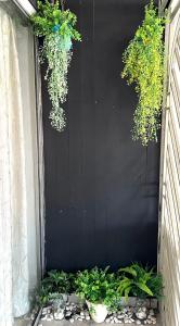 a black wall with potted plants on a patio at The Pine Lodge- Bukit Tinggi Klang in Klang