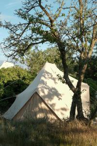 a white tent in a field with a tree at Dunes Beach Camp in Neksø