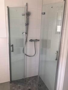 a shower with a glass door in a bathroom at Apartment mit Blick ins Grüne in Mitterfels +29 photos