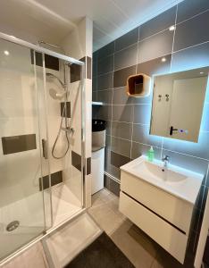 un baño con ducha y lavabo en Le Belvédère - Bord de Sarthe - 4pers, en Le Mans
