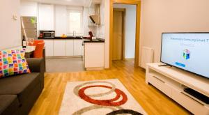 a living room with a couch and a flat screen tv at Apartamentos Amaiur in Estella