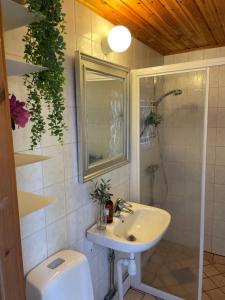 Koupelna v ubytování Gästhus i lummig trädgård + 7 fotografií