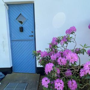 Fotografie z fotogalerie ubytování Gästhus i lummig trädgård v destinaci Löderup