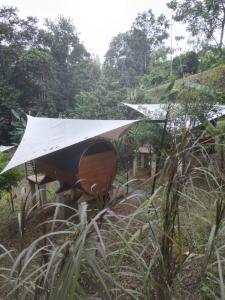Φωτογραφία από το άλμπουμ του Glamping in jungle - Corcovado Nature Wonders - amazing views - available scooter σε Puerto Jimenez