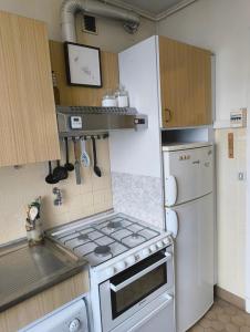 uma cozinha com fogão e geladeira em Bright and spacious seaside studio em Roquebrune-Cap-Martin