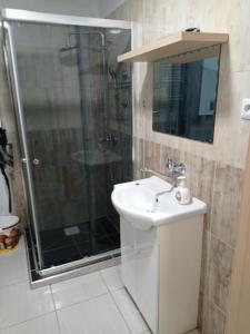 a bathroom with a shower and a sink and a mirror at Apartmán Eva in Vrbov +19 photos