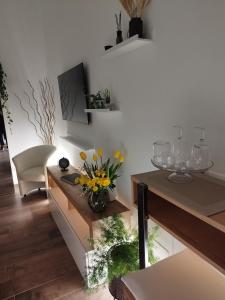 TV a/nebo společenská místnost v ubytování Iris B&B