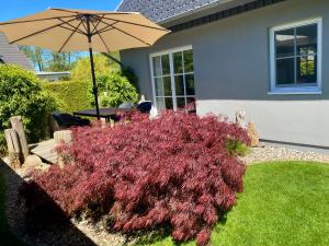 Ferienhaus Buhne 31