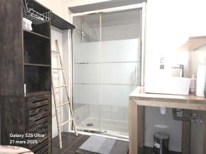 a shower with a glass door in a bathroom at la palais osiris Nice centre jardin wifi clim parking in Nice +25 photos