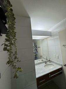 Un baño con lavabo y una planta. en Excelente ubicación y comodidad a pasos Providencia, en Santiago