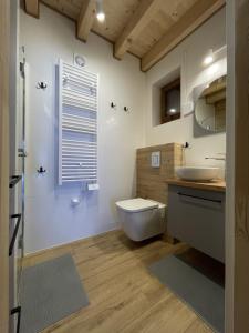 a bathroom with a toilet and a sink at Słoneczne tarasy in Życiny