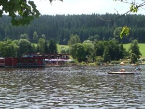 dos personas están en un barco en el agua en Blackforest Ferienwohnung, en St. Georgen im Schwarzwald