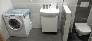 a bathroom with a washing machine and a sink at Apartmán Milano Frymburk in Frymburk