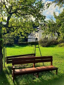 a wooden bench sitting in the grass in a park at Die Malche Gäste und Tagungshaus Villa App 13 in Alaunwerk