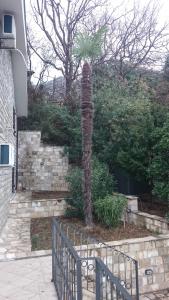 Φωτογραφία από το άλμπουμ του PerDo σε Perazića Do