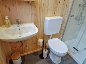 a bathroom with a toilet and a sink and a shower at Nideggener Burgwagen 1016 in Nideggen