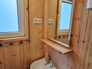 a bathroom with a sink and a mirror at Nideggener Burgwagen 1016 in Nideggen