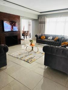 a living room with a couch and a fireplace at Josys Place in Bulawayo