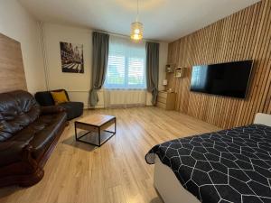 TV a/nebo společenská místnost v ubytování APARTMENTS TRENČÍN
