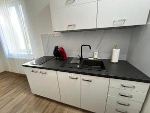 Kuchyň nebo kuchyňský kout v ubytování APARTMENTS TRENČÍN