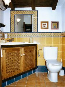 y baño con aseo, lavabo y espejo. en Casa Rural La Cueva, en Casas del Castañar