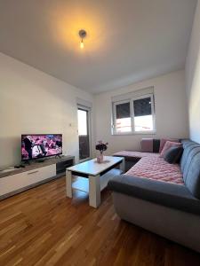 a living room with a couch and a tv at Dora Apartman in Trebinje