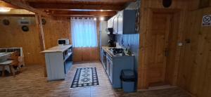a kitchen with a stove and a sink in a room at Cabana dintre vai Strungari in Plaiuri