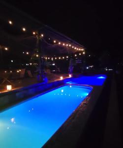 a swimming pool lit up at night with blue lights at Rooftop in Xilitla +15 photos